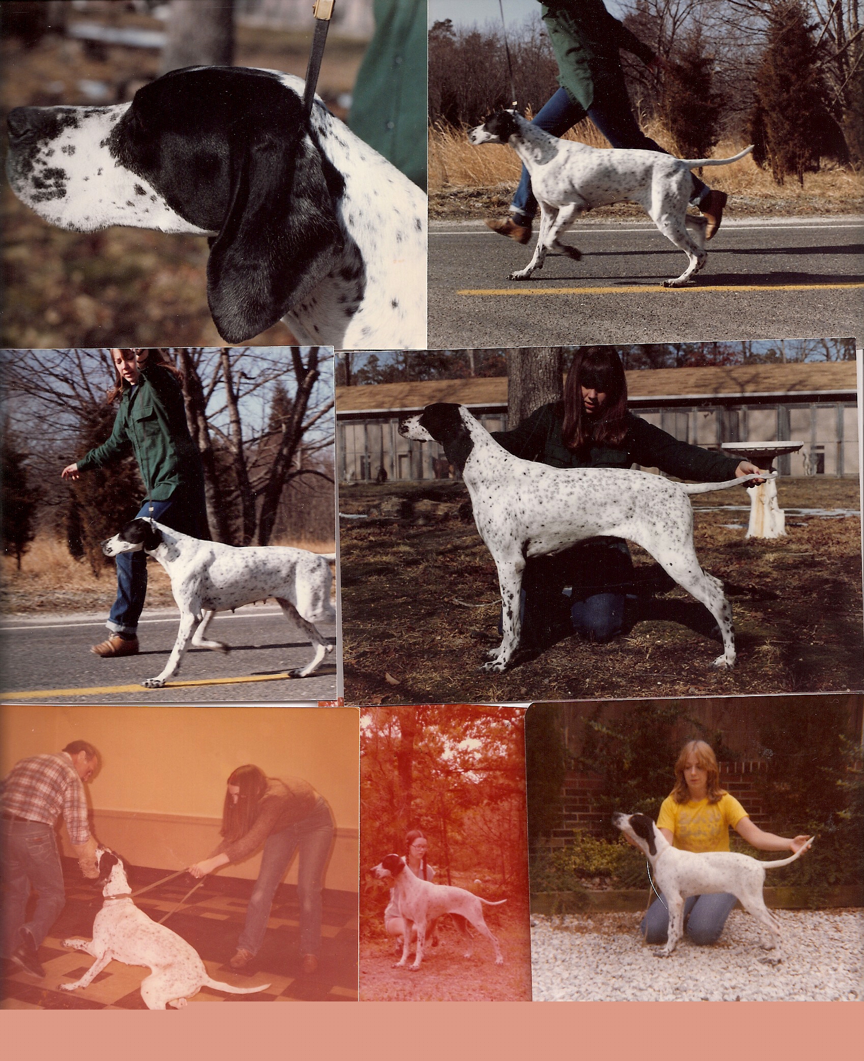 Cameo/scan0008.jpg