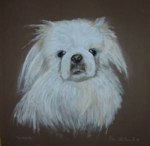 DogPortraits/annabelle.jpg