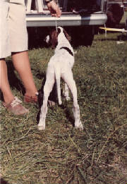 Heff/scan0005.jpg