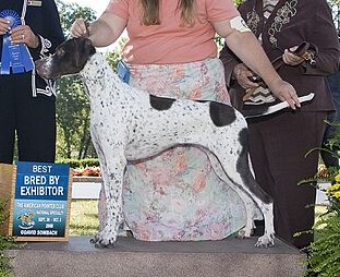 Moxie/moxiebbe.jpg